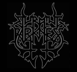 logo Storming Darkness